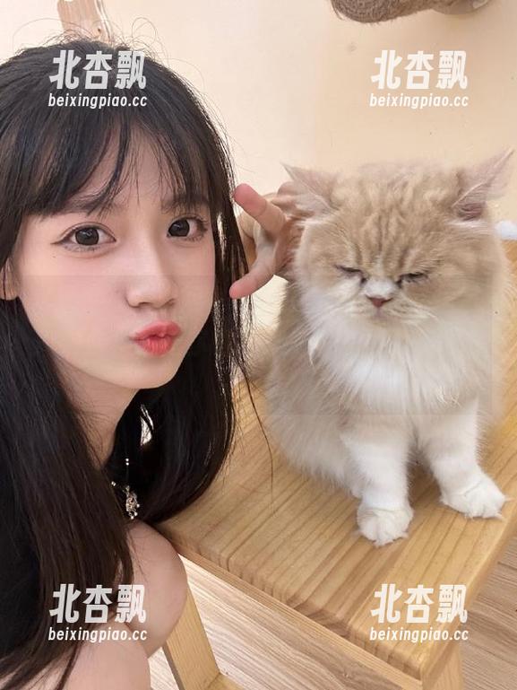 Xiuren秀人网 - 夏诗诗Sally唯美居家高清合集，让你的居家生活瞬间提升档次！.txt