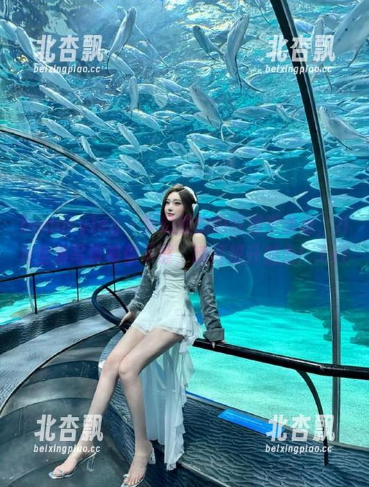 beautyleg - 梦幻般的豹纹视觉盛宴，Jill全集写真等你下载，瞬间提升魅力！.txt