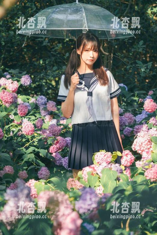 pans - 新鲜出炉！小彤厨娘图包震撼更新，感受美食与摄影的完美融合！.txt