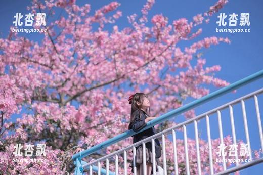 迷人的萌芽儿o0连衣裙高清写真合集，尽显优雅与灵动之美.txt