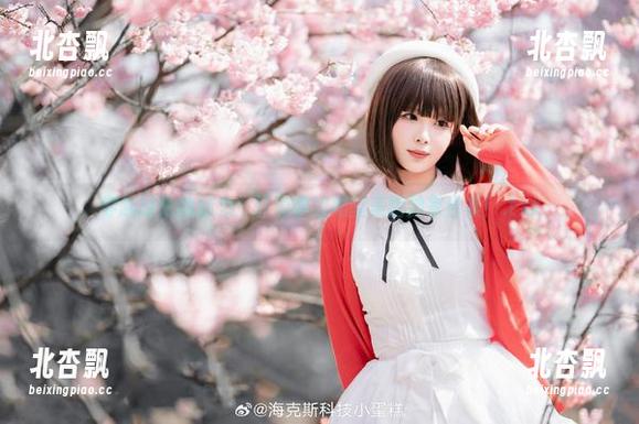 穿越时光的魅力：轩萧学姐黑丝美图独家合集！.txt