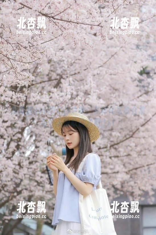 黑猫猫ovo的女仆之梦：多样化写真合集与令人惊叹的套图.txt